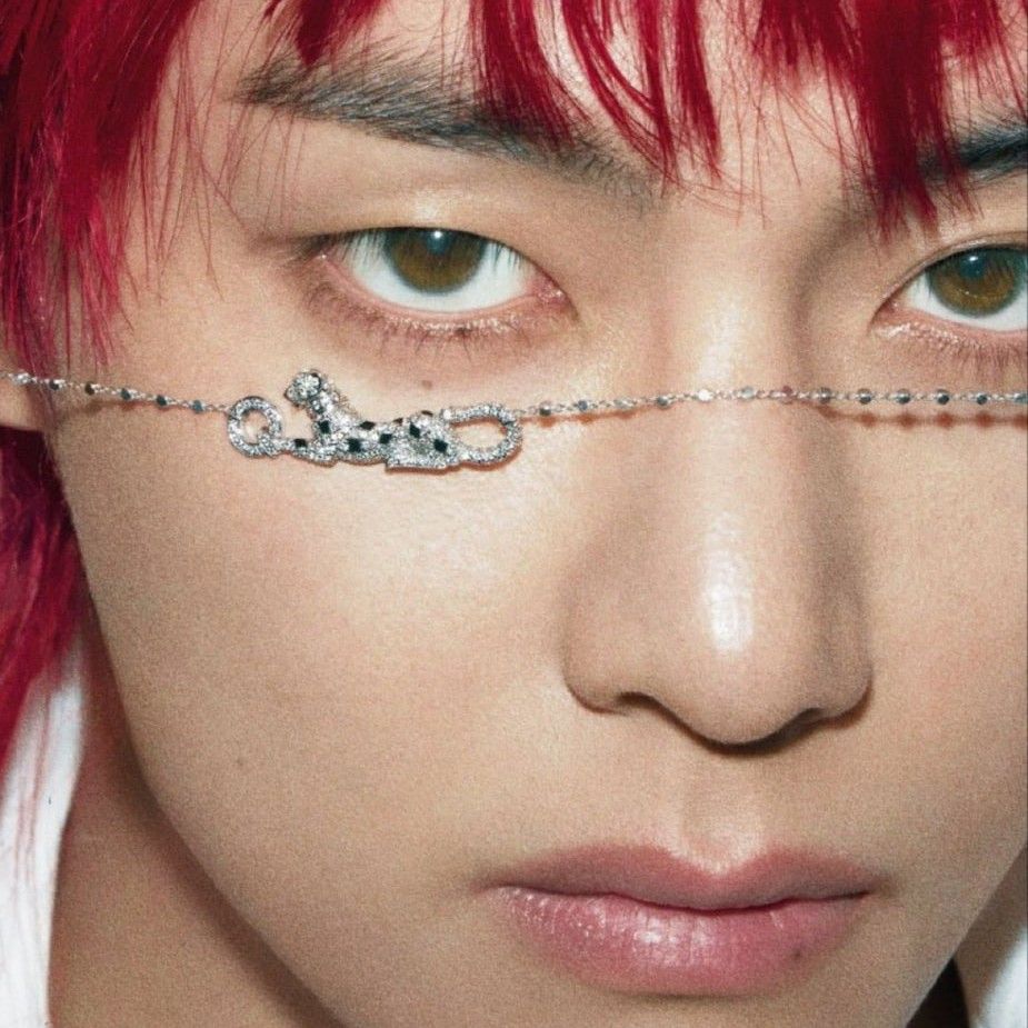 V (BTS)ファンが撮った瞬間