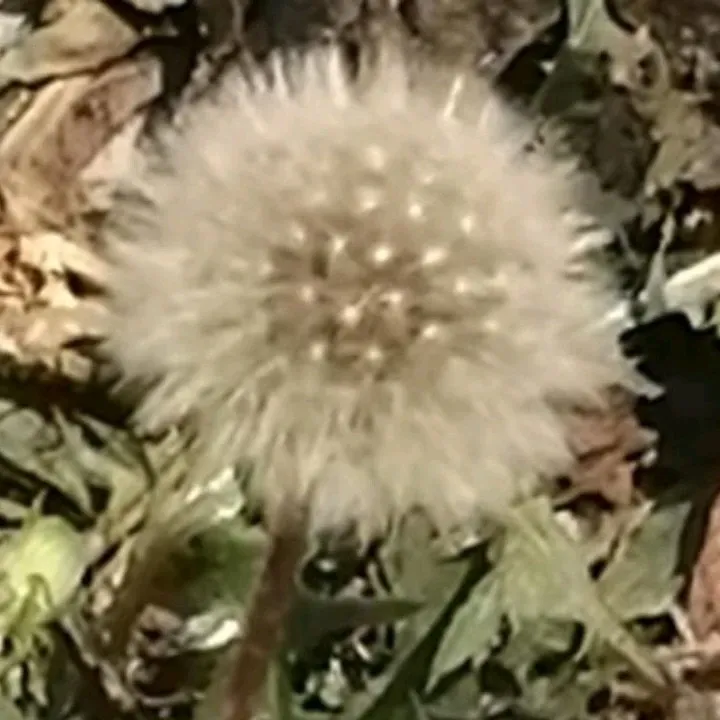 아스트로 팬이 찍은 순간