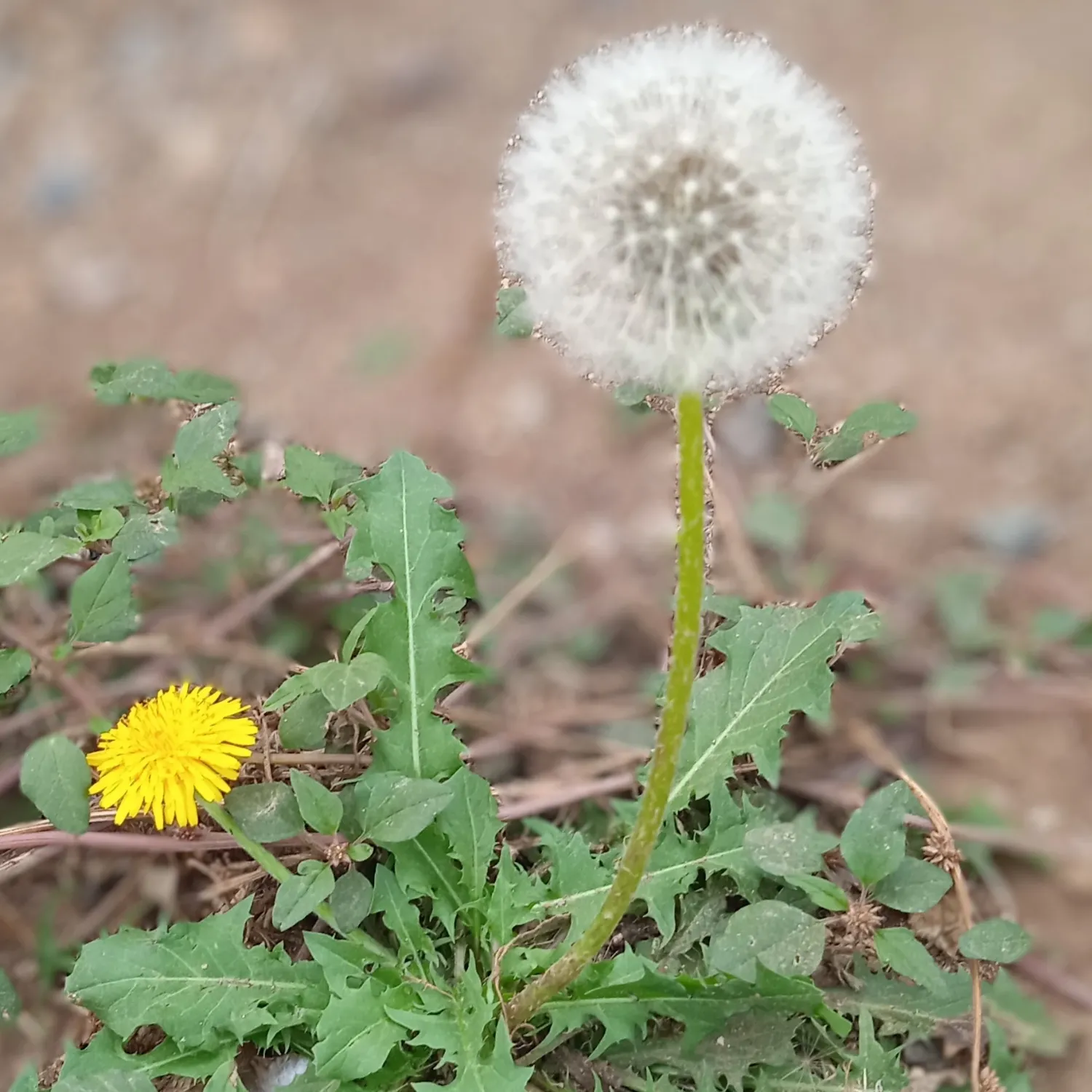A moment captured by Moonbin (ASTRO)'s fan