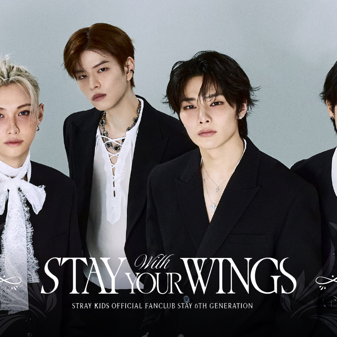 Stray Kids粉絲拍下的瞬間