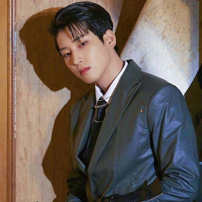 Recent activity shot of Wonwoo (SEVENTEEN)