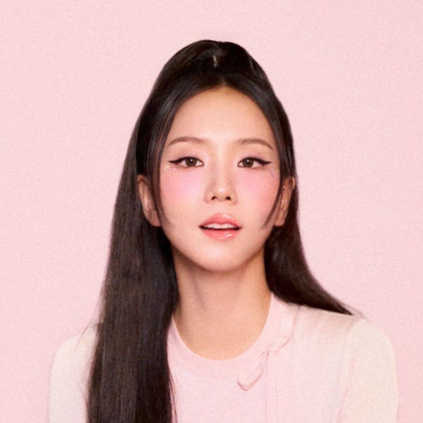 BLACKPINK 팬이 찍은 순간