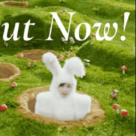 모모 (TWICE)의 비하인드 컷