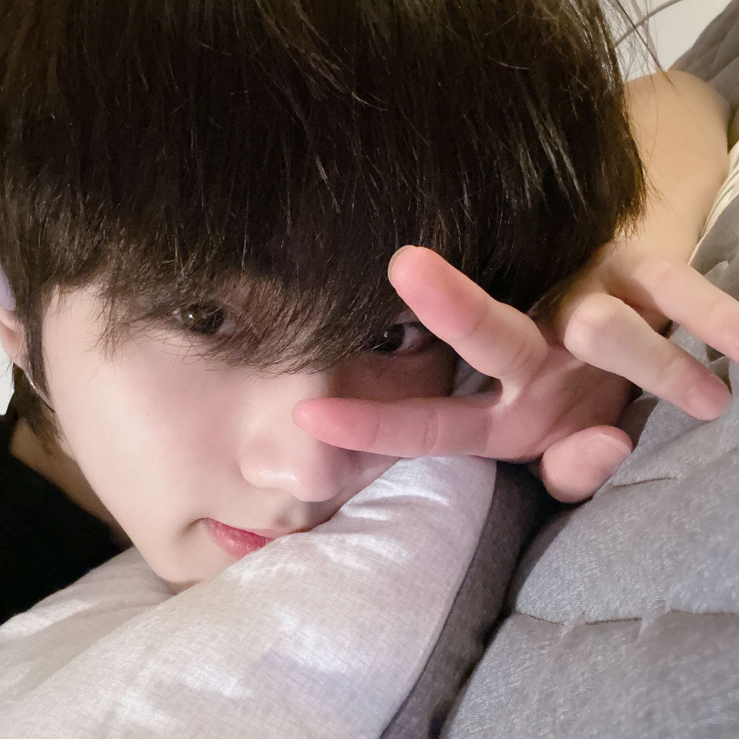 ENHYPEN 팬이 찍은 순간