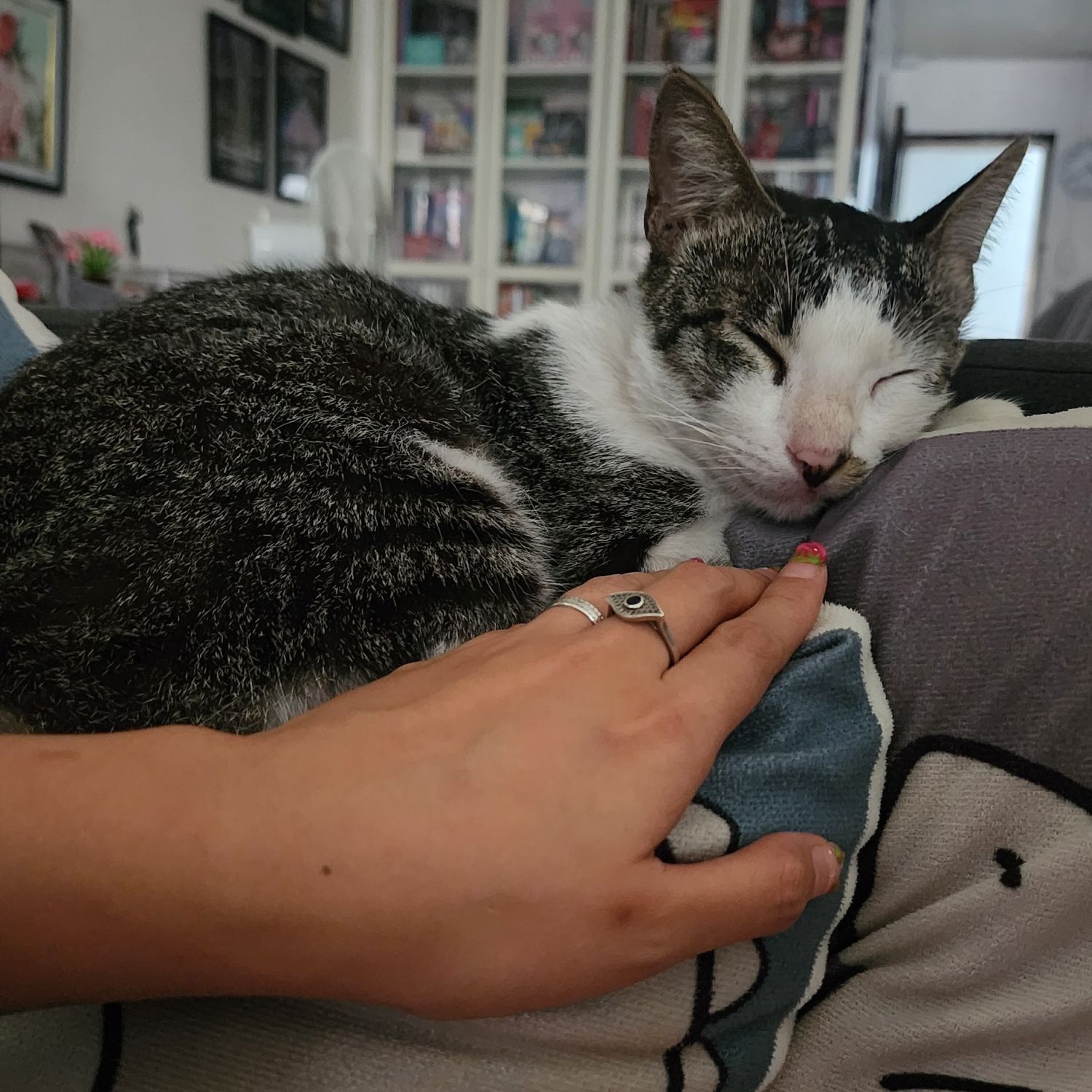 Latest photo of Seungkwan (SEVENTEEN)