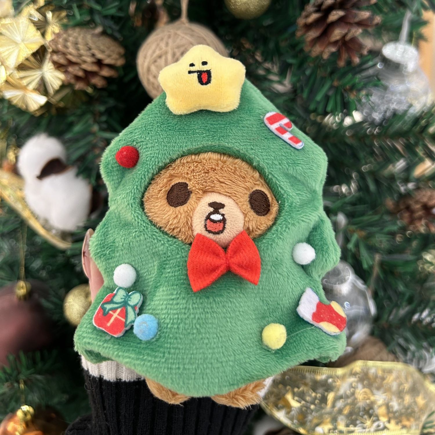 A moment captured by Haechan (NCT 127, NCT DREAM)'s fan