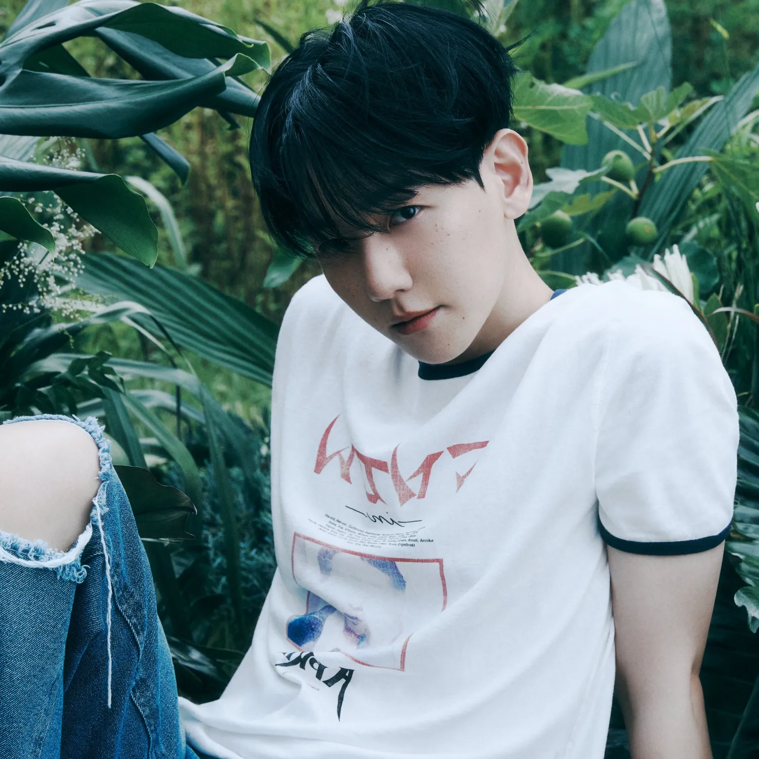 백현 (EXO) 팬이 찍은 순간