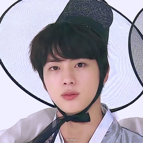 진 (방탄소년단) 팬이 찍은 순간