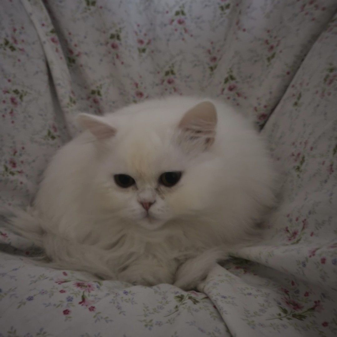 Recent activity shot of Moonbin (ASTRO)