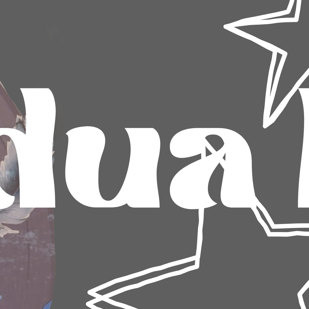 Latest photo of Dua Lipa