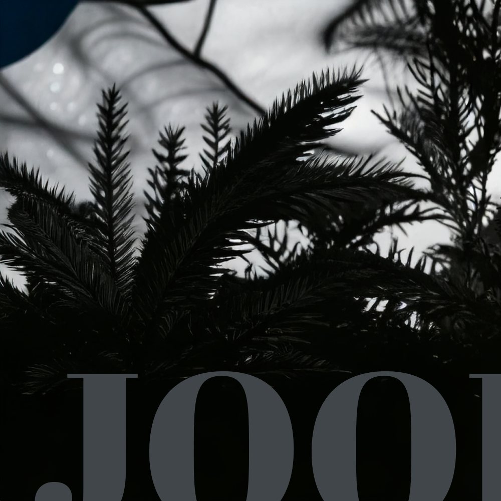 A moment captured by Joohoney (MONSTA X)'s fan