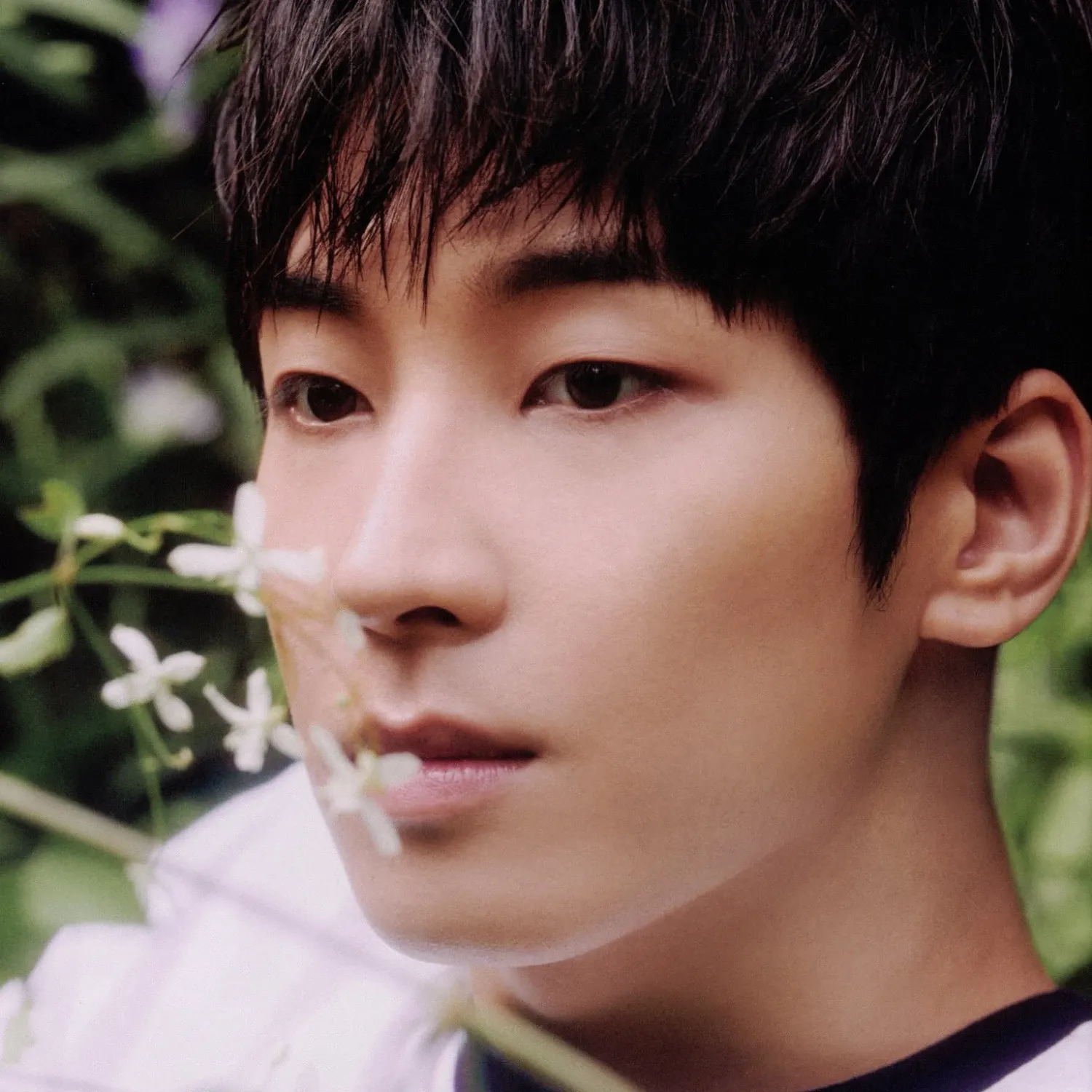 A moment captured by Wonwoo (SEVENTEEN)'s fan