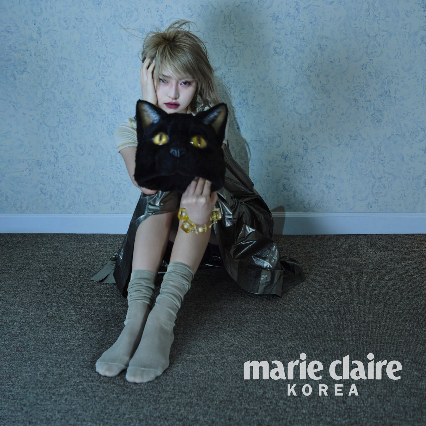 Recent activity shot of HAUM (KiiiKiii)