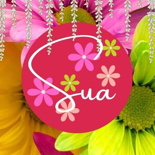 A moment captured by SU A (DREAMCATCHER)'s fan