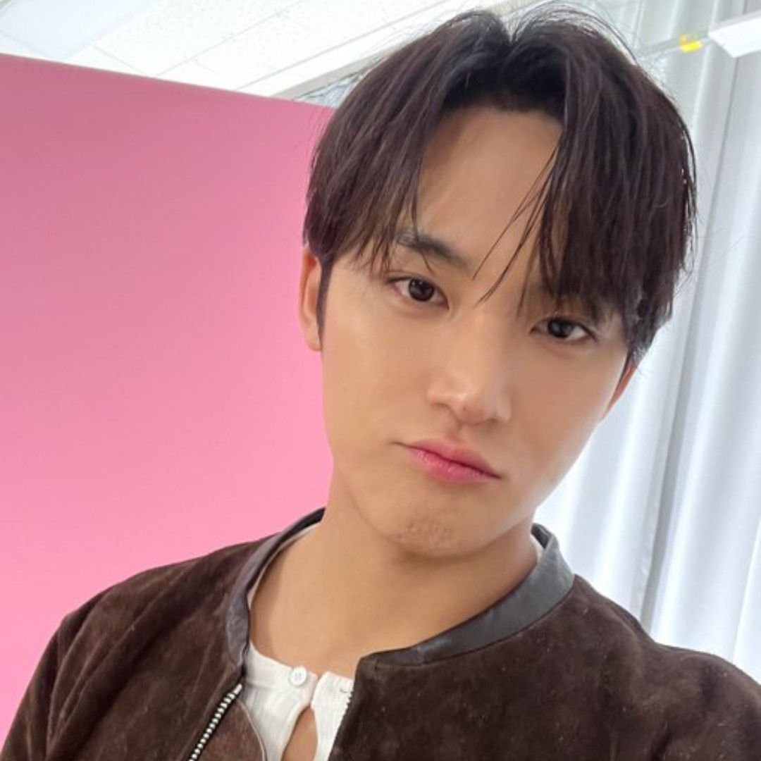 세븐틴 팬이 찍은 순간