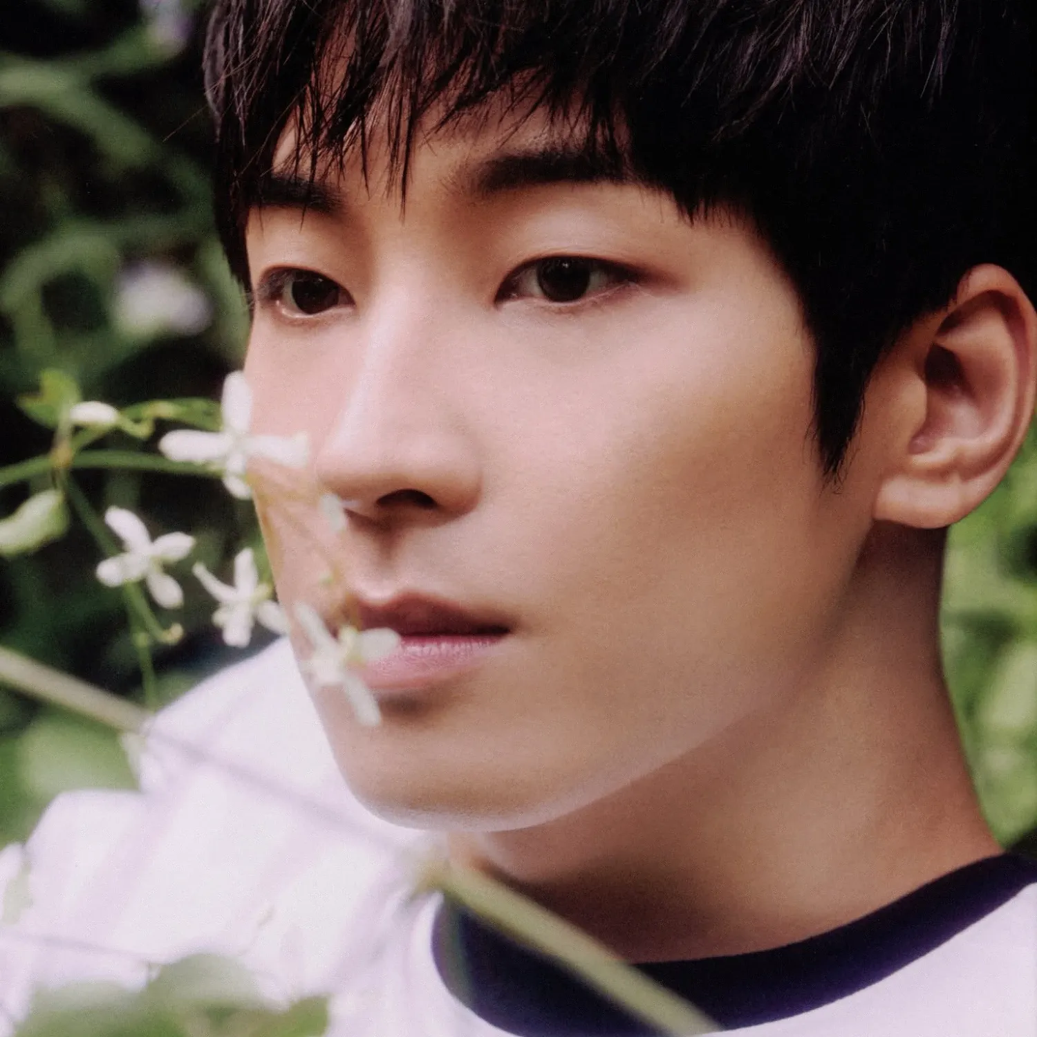 원우 (세븐틴) 최근 활동샷