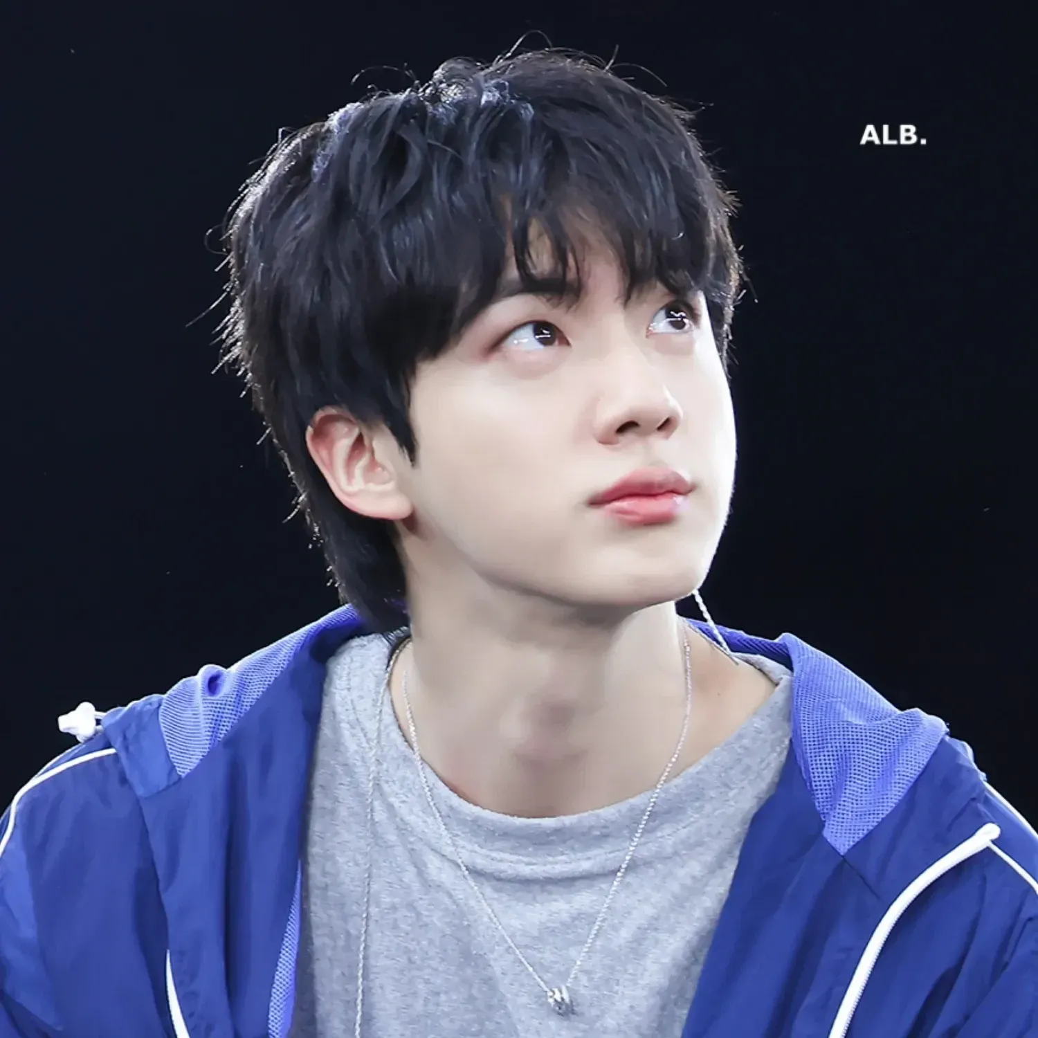 A moment captured by Jin (BTS)'s fan