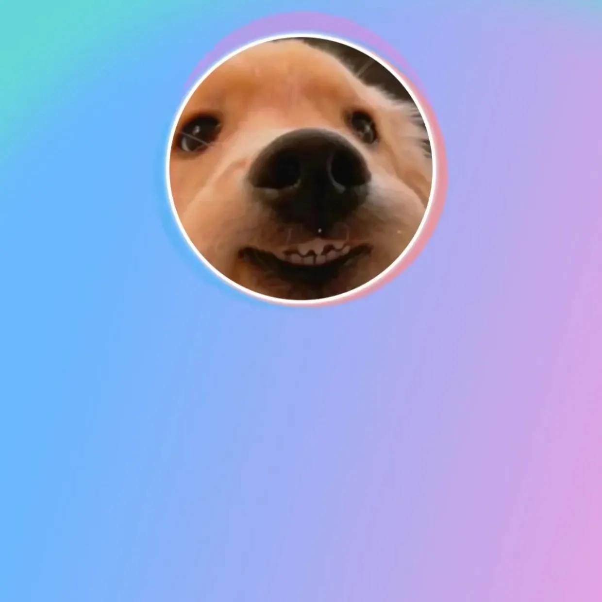 伯賢 (EXO)的幕後花絮