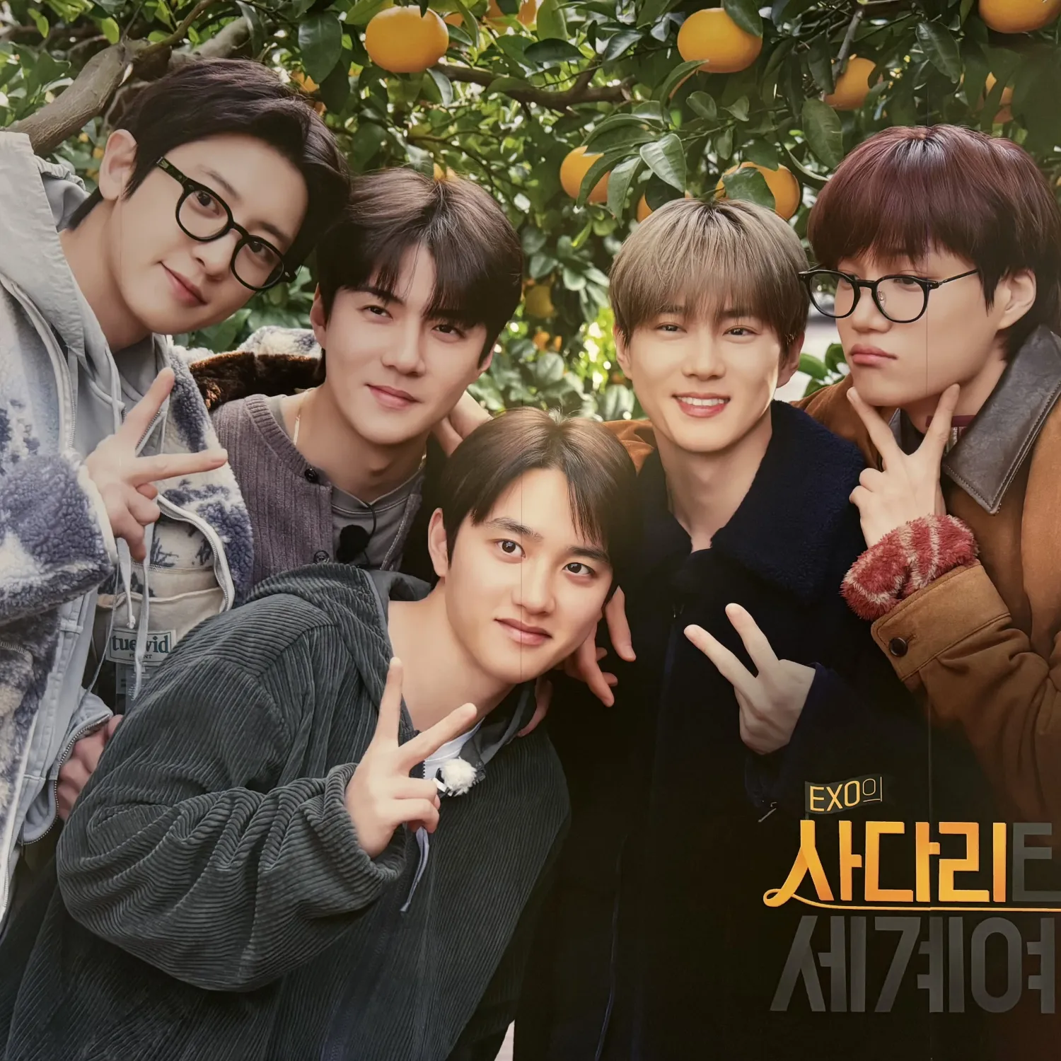 EXO 팬이 찍은 순간