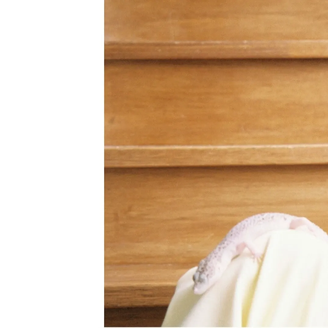 Iroha (ILLIT)的最新照片