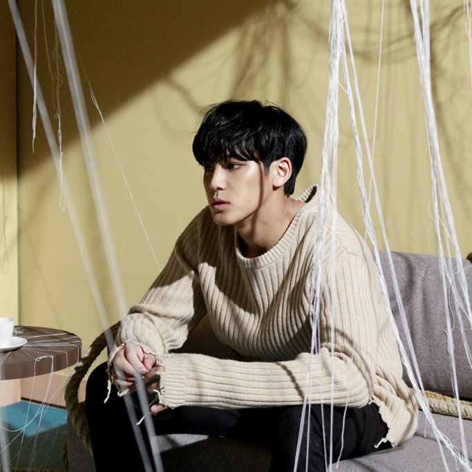 세븐틴 팬이 찍은 순간