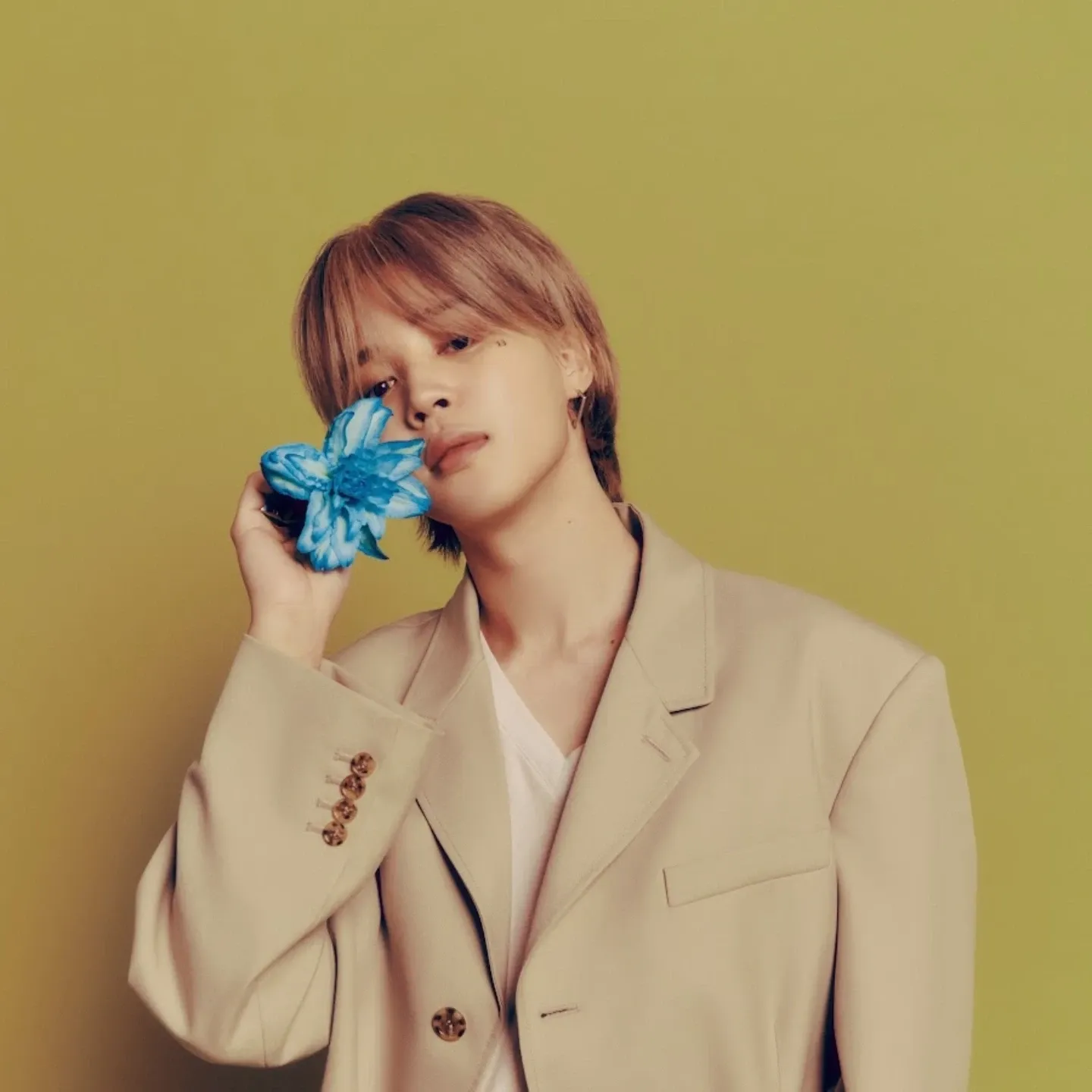 지민 (방탄소년단) 팬이 찍은 순간