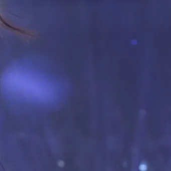 A moment captured by Seowon (UNIS)'s fan