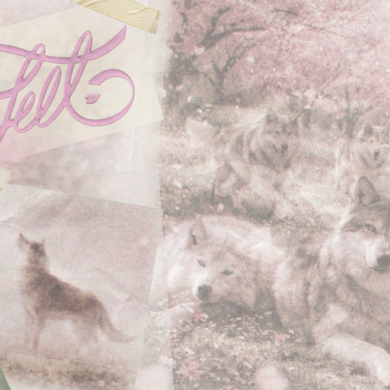 Latest photo of Harua (&TEAM)