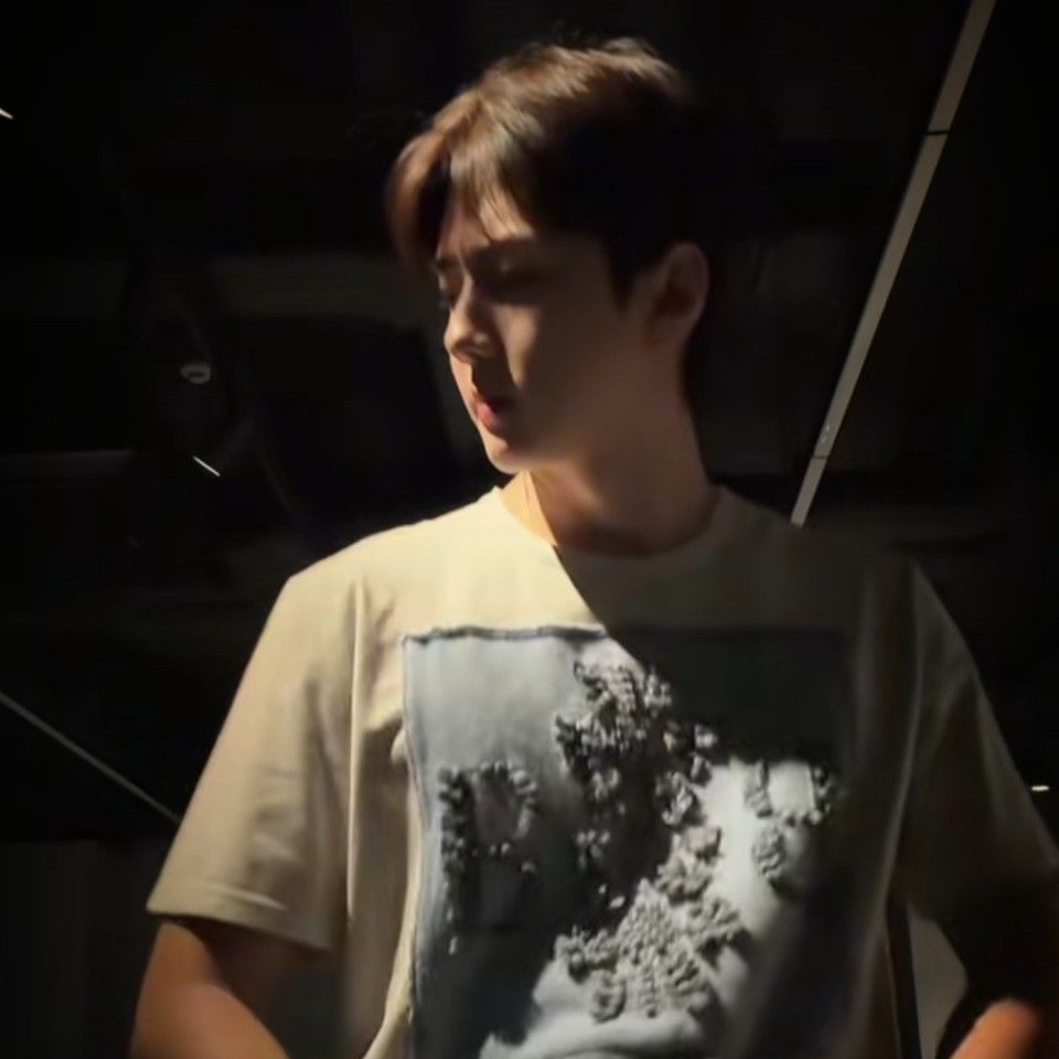 Recent activity shot of Sehun (EXO)