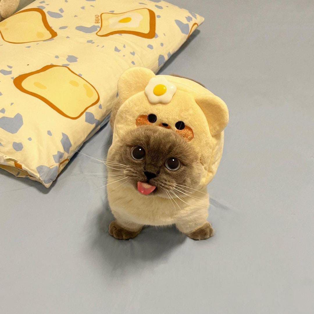 EXO의 비하인드 컷