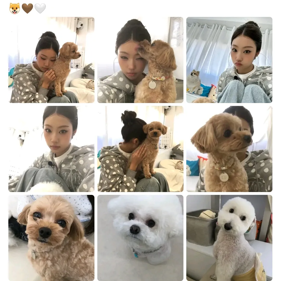 Recent activity shot of izna