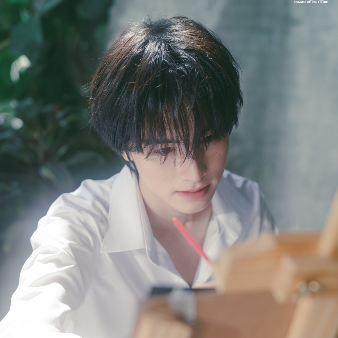 Recent activity shot of Aa (BUS)