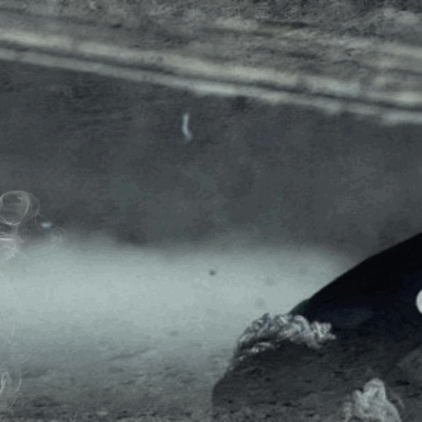 Recent activity shot of Nicholas (&TEAM)