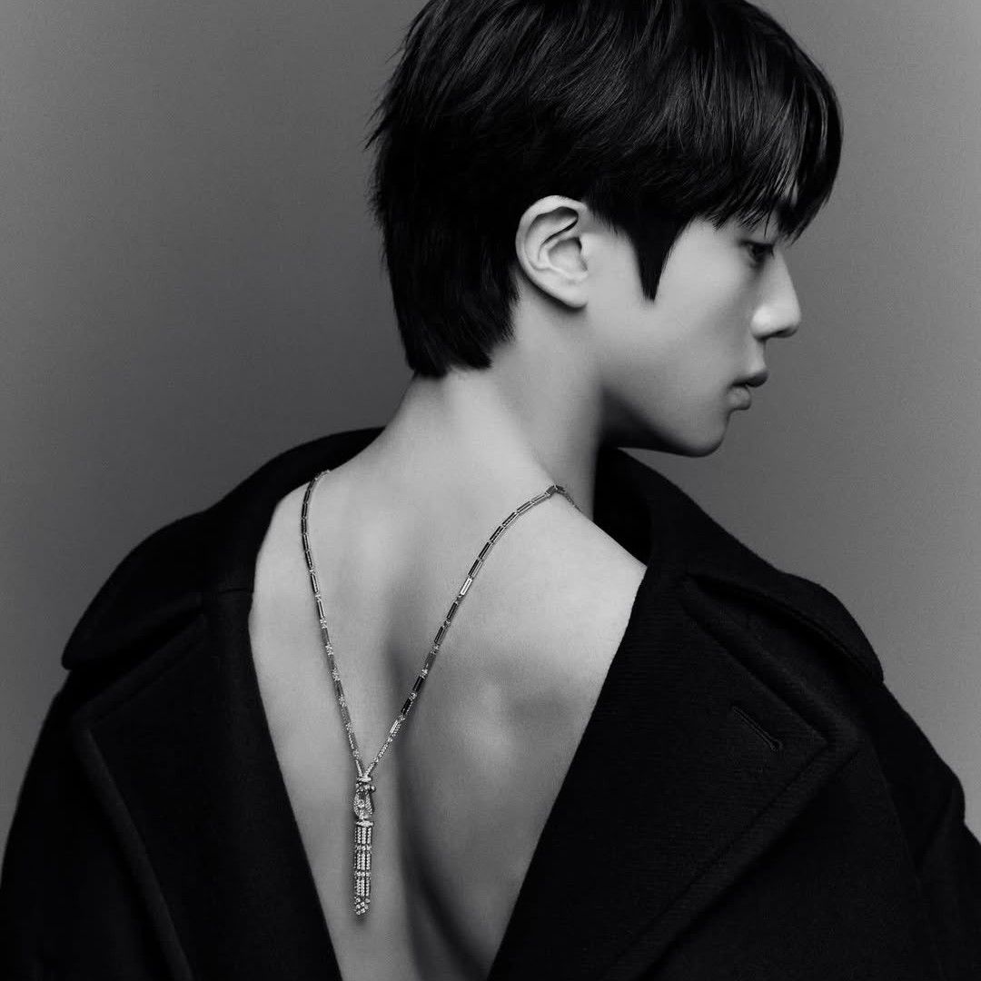 진 (방탄소년단) 팬이 찍은 순간