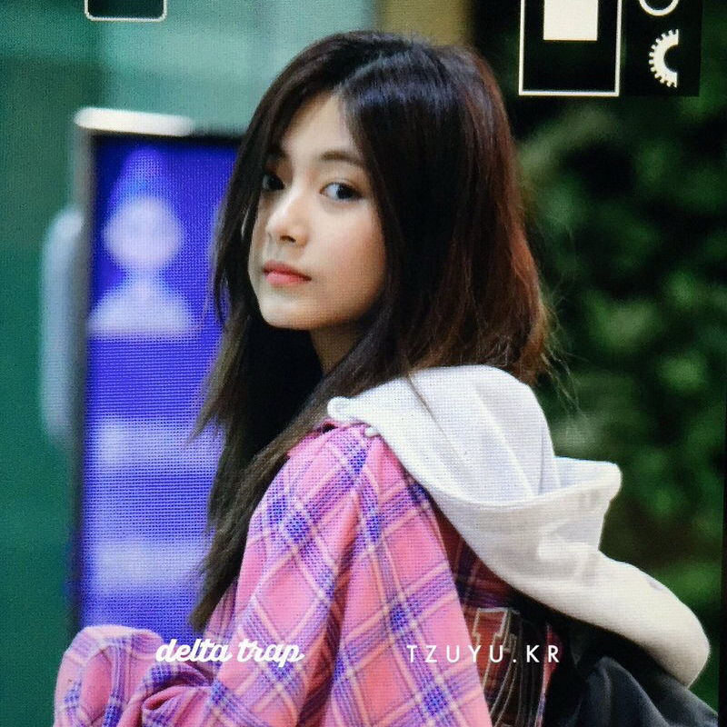 TWICE 팬이 찍은 순간