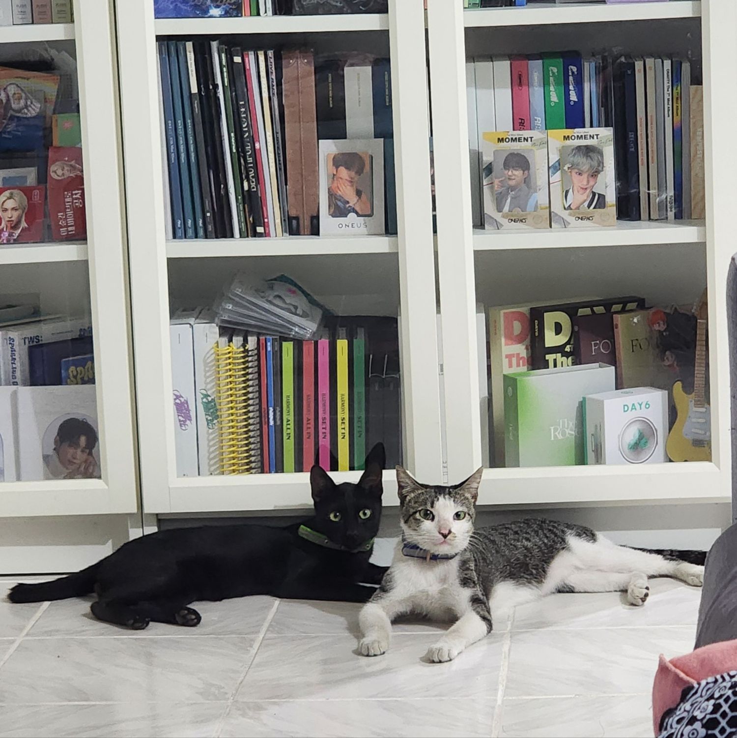 Momen yang diabadikan oleh penggemar SEVENTEEN