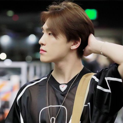 A moment captured by Dino (SEVENTEEN)'s fan