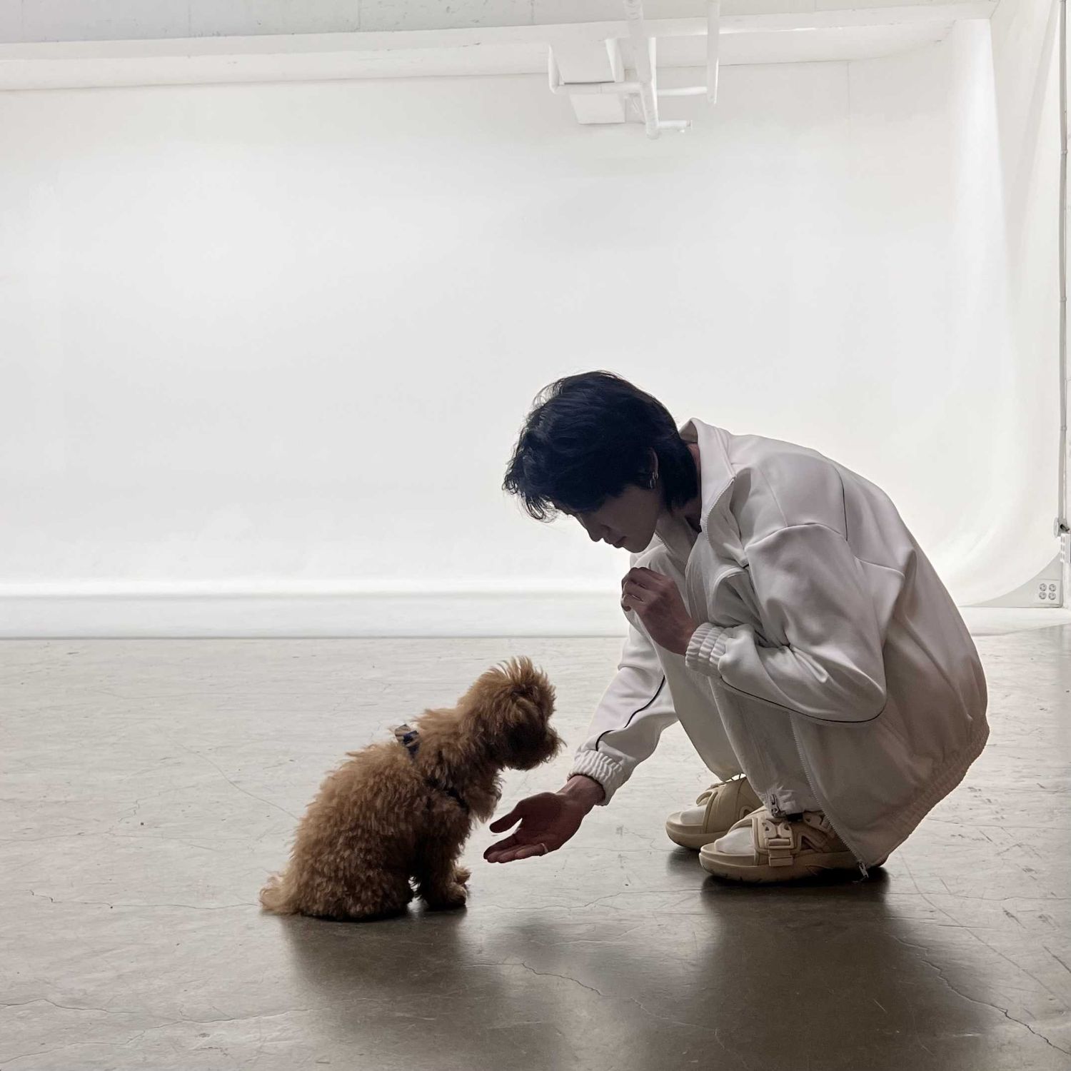 A moment captured by The 8 (SEVENTEEN)'s fan