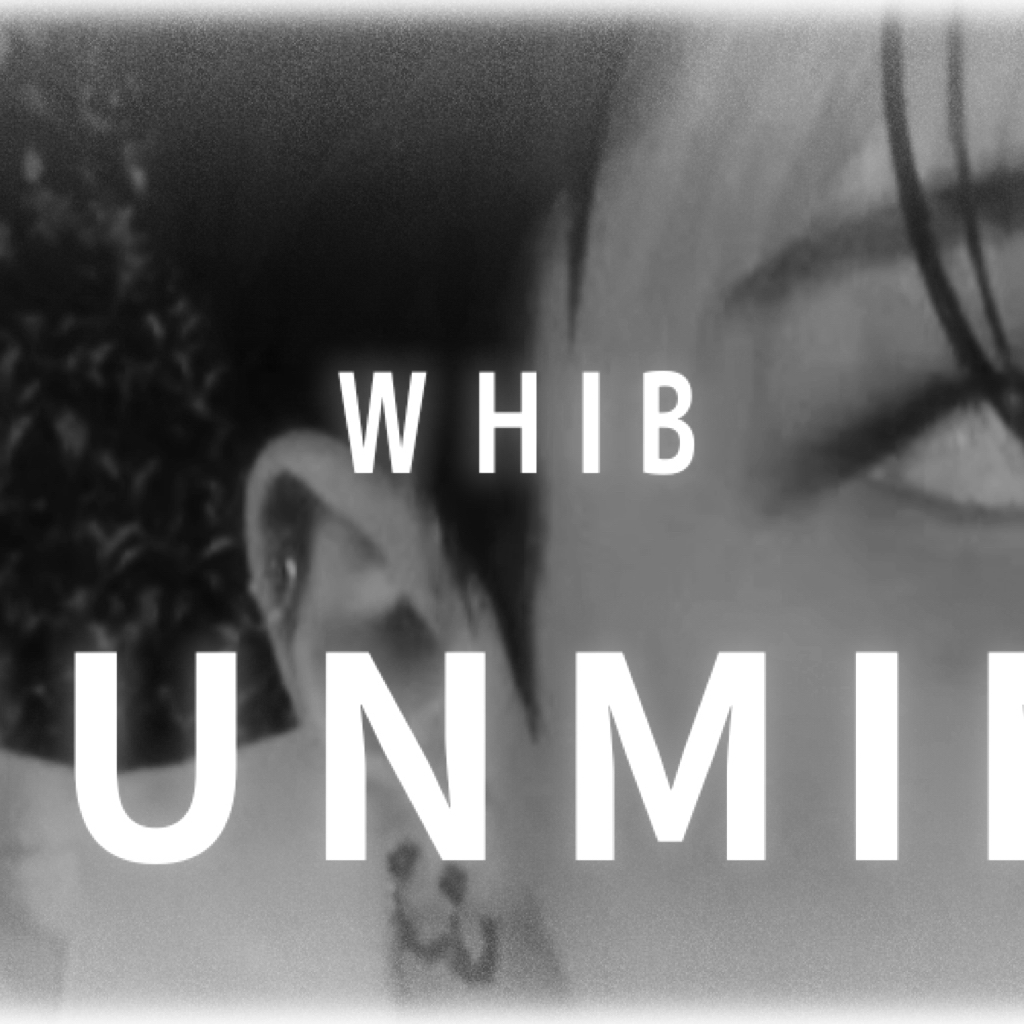 金俊民 (WHIB)粉丝拍下的瞬间