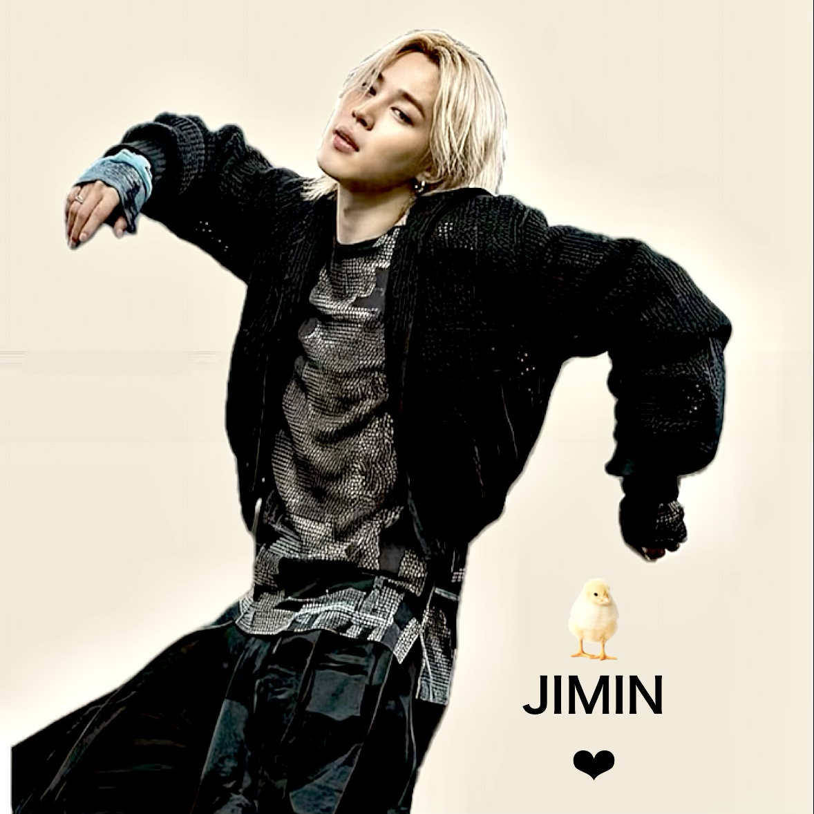 지민 (방탄소년단) 팬이 찍은 순간