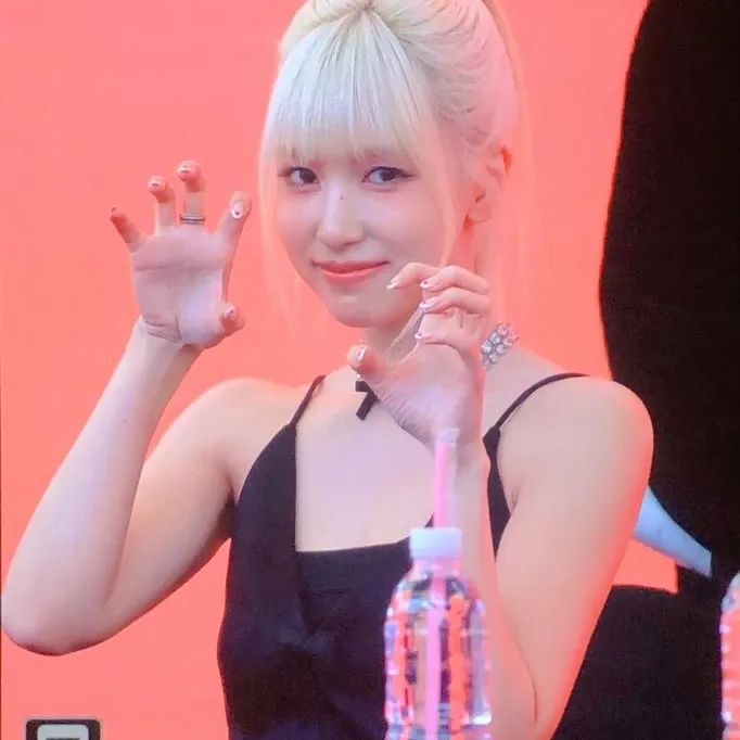 TWICE 최근 활동샷