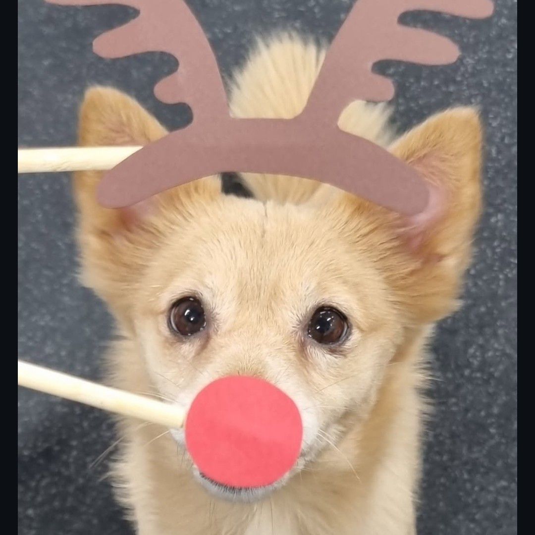 쯔위 (TWICE) 팬이 찍은 순간