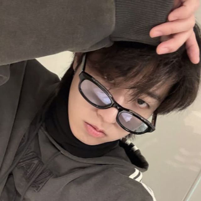 Stray Kids 팬이 찍은 순간