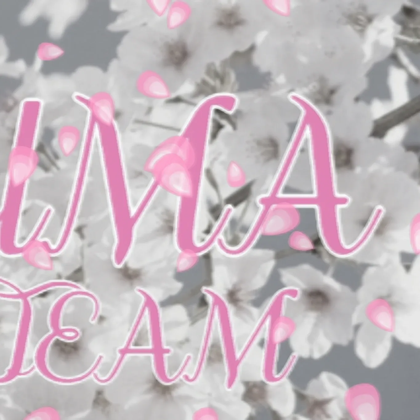 最愛ドルコミュニティの爆発的人気投稿