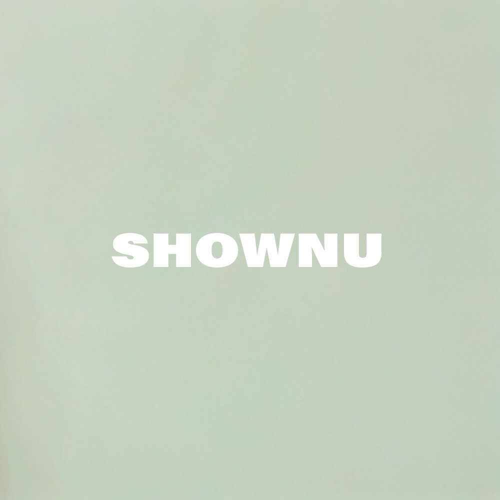 Shownu (MONSTA X)粉絲拍下的瞬間