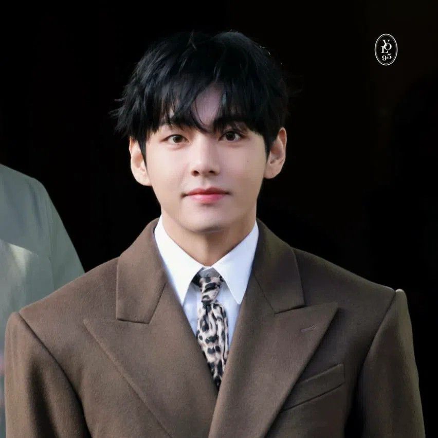 뷔 (방탄소년단) 팬이 찍은 순간