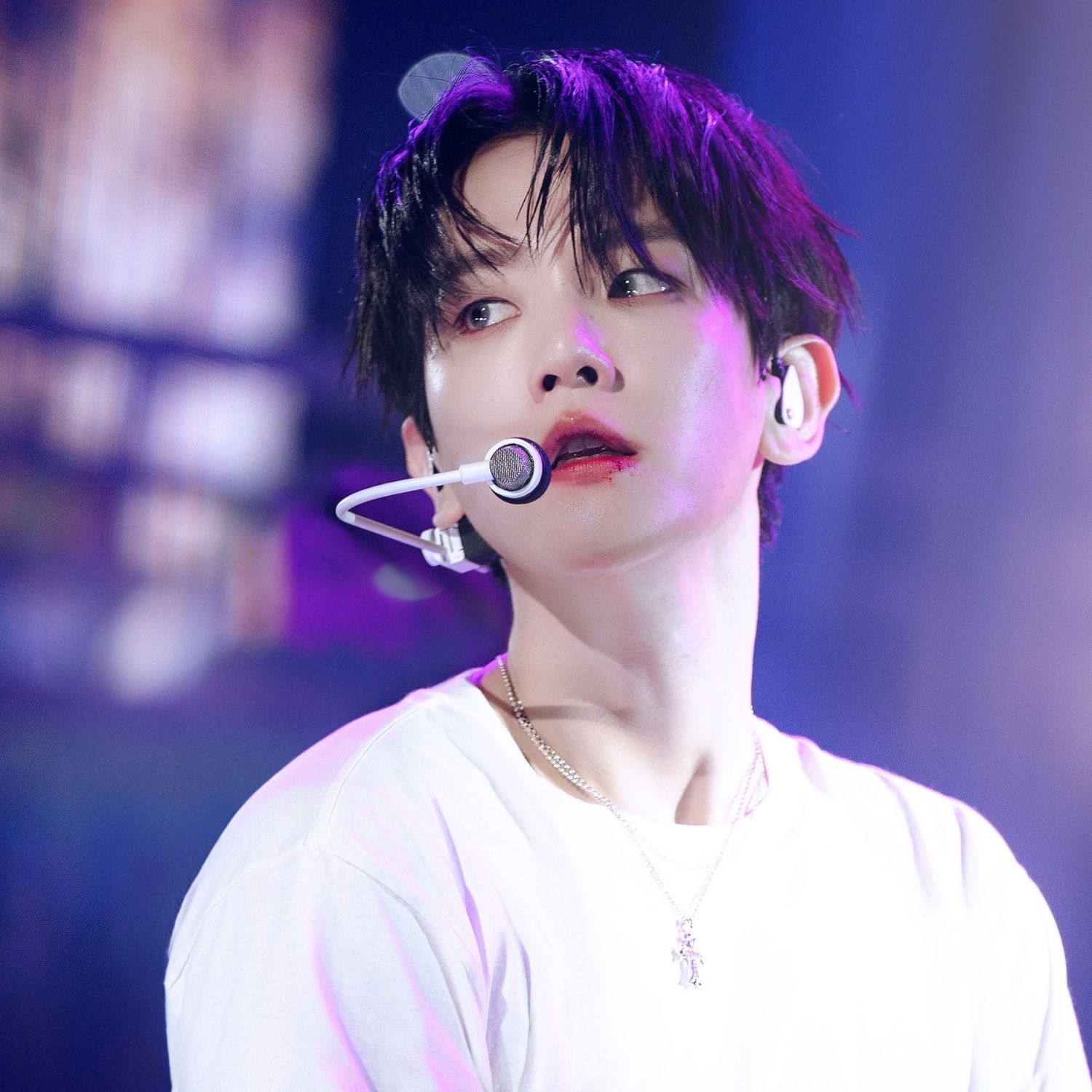 伯賢 (EXO)的最新活動照片