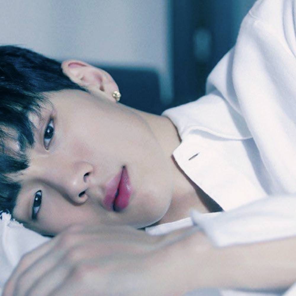 최애돌 커뮤니티 인기 폭발 포스트