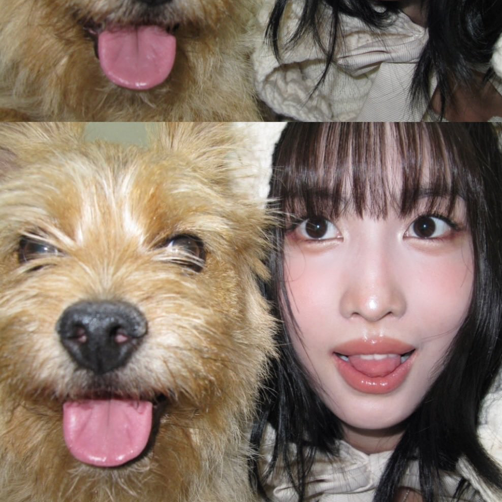 A moment captured by Momo (TWICE)'s fan