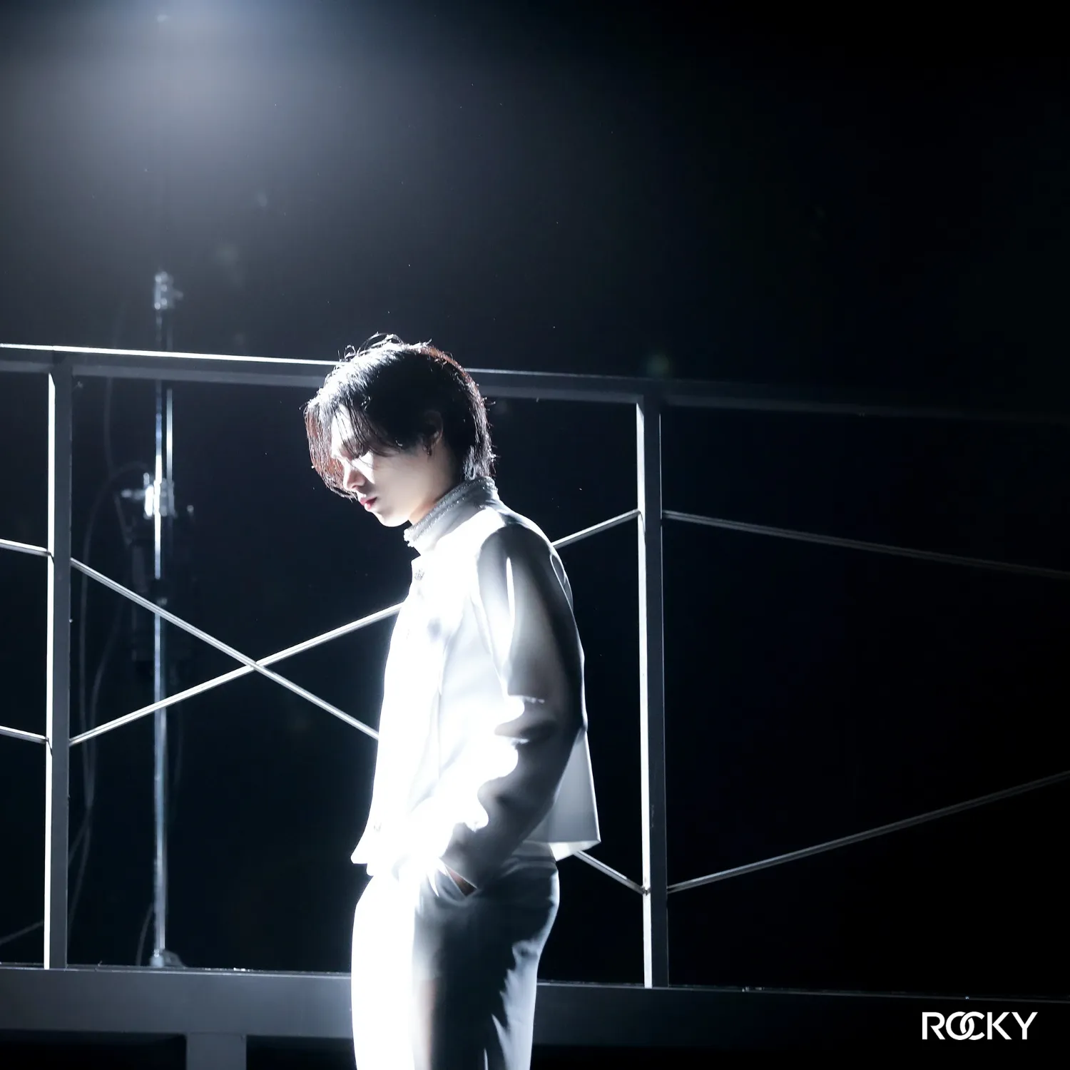 Latest photo of Rocky